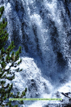 Load image into Gallery viewer, Yellowstone ‘Courage In Action’ 🌼 ♨️ 🥾 Hiking, Wildlife & Hot Springs Retreat