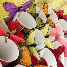 Load image into Gallery viewer, Yellowstone Spring Retreat - 2026 Wolf Wisdom - Montana Women's Adventure