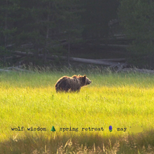 Load image into Gallery viewer, Yellowstone ‘Courage In Action’ 🌼 ♨️ 🥾 Hiking, Wildlife & Hot Springs Retreat