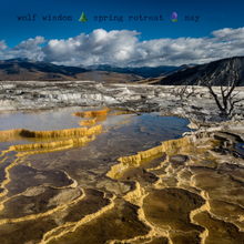 Load image into Gallery viewer, Yellowstone ‘Courage In Action’ 🌼 ♨️ 🥾 Hiking, Wildlife & Hot Springs Retreat