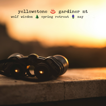 Load image into Gallery viewer, Yellowstone Spring Retreat - 2026 Wolf Wisdom - Montana Women's Adventure
