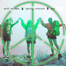 Load image into Gallery viewer, Yellowstone Spring Retreat - 2026 Wolf Wisdom - Montana Women's Adventure