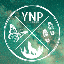 Load image into Gallery viewer, Yellowstone Spring Retreat - 2026 Wolf Wisdom - Montana Women's Adventure