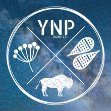 Load image into Gallery viewer, Yellowstone Snowshoe Winter Retreat - 2026 Bison Mixer - Montana Women's Adventure