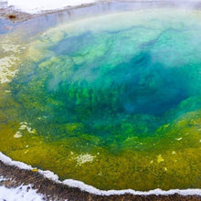 Load image into Gallery viewer, Yellowstone Snowshoe Winter Retreat - 2026 Bison Mixer - Montana Women's Adventure