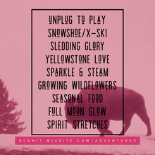 Load image into Gallery viewer, Yellowstone Snowshoe Winter Retreat - 2026 Bison Mixer - Montana Women's Adventure