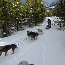 Load image into Gallery viewer, Yellowstone Snowshoe Winter Retreat - 2026 Bison Mixer - Montana Women's Adventure