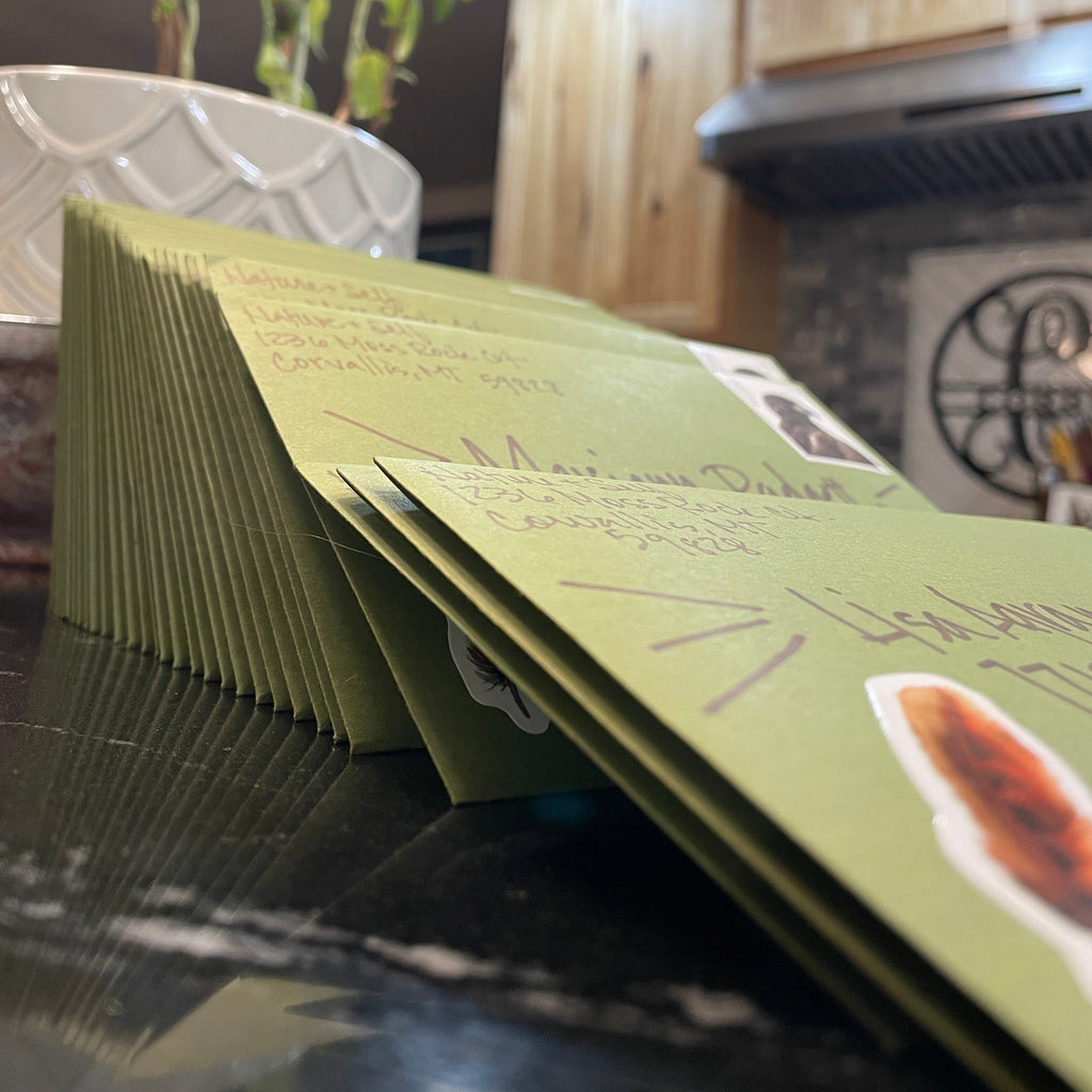 Nature+Self mail club - Monthly Subscription