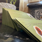 Nature+Self mail club - Monthly Subscription