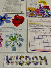 Load image into Gallery viewer, Nature+Self snail mail - JUNE 2026
