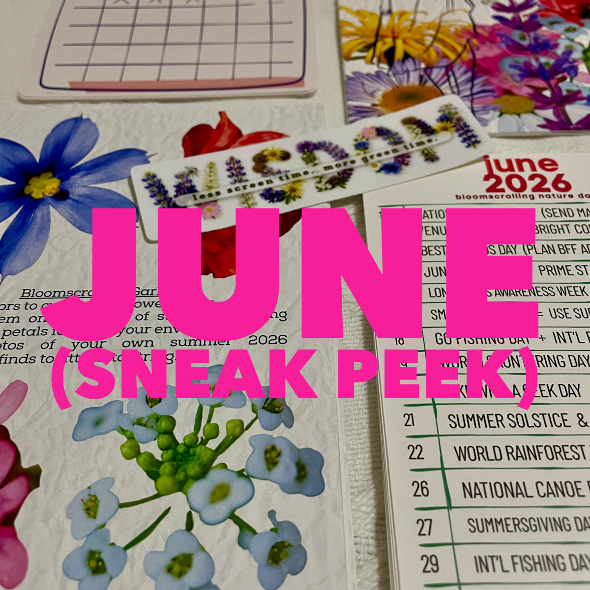 Nature+Self snail mail (subscription United States)