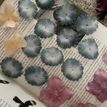 Load image into Gallery viewer, Nature+Self snail mail - JUNE 2026
