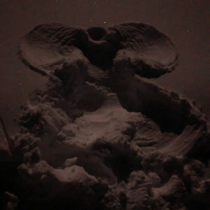 Snowshoe Palooza Full Moon - Girls Getaway - February 2024