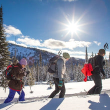 Load image into Gallery viewer, Yellowstone Snowshoe Winter Retreat  - 2026 Bison Mixer - Montana Women&#39;s Adventure
