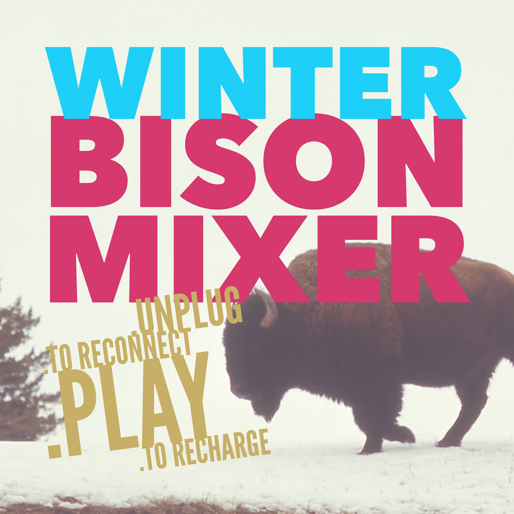 Yellowstone Snowshoe Winter Retreat  - 2026 Bison Mixer - Montana Women's Adventure